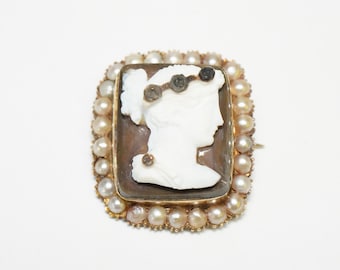 Early Victorian 14k Yellow Gold, High Relief Carved Stone Cameo - Lovely Lady in Profile Cameo Brooch or Pin - Half-Pearl Border