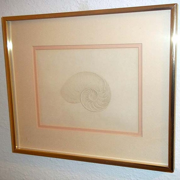 Wonderful Vintage Matted & Framed Embossed Art Relief Nautilus Shell