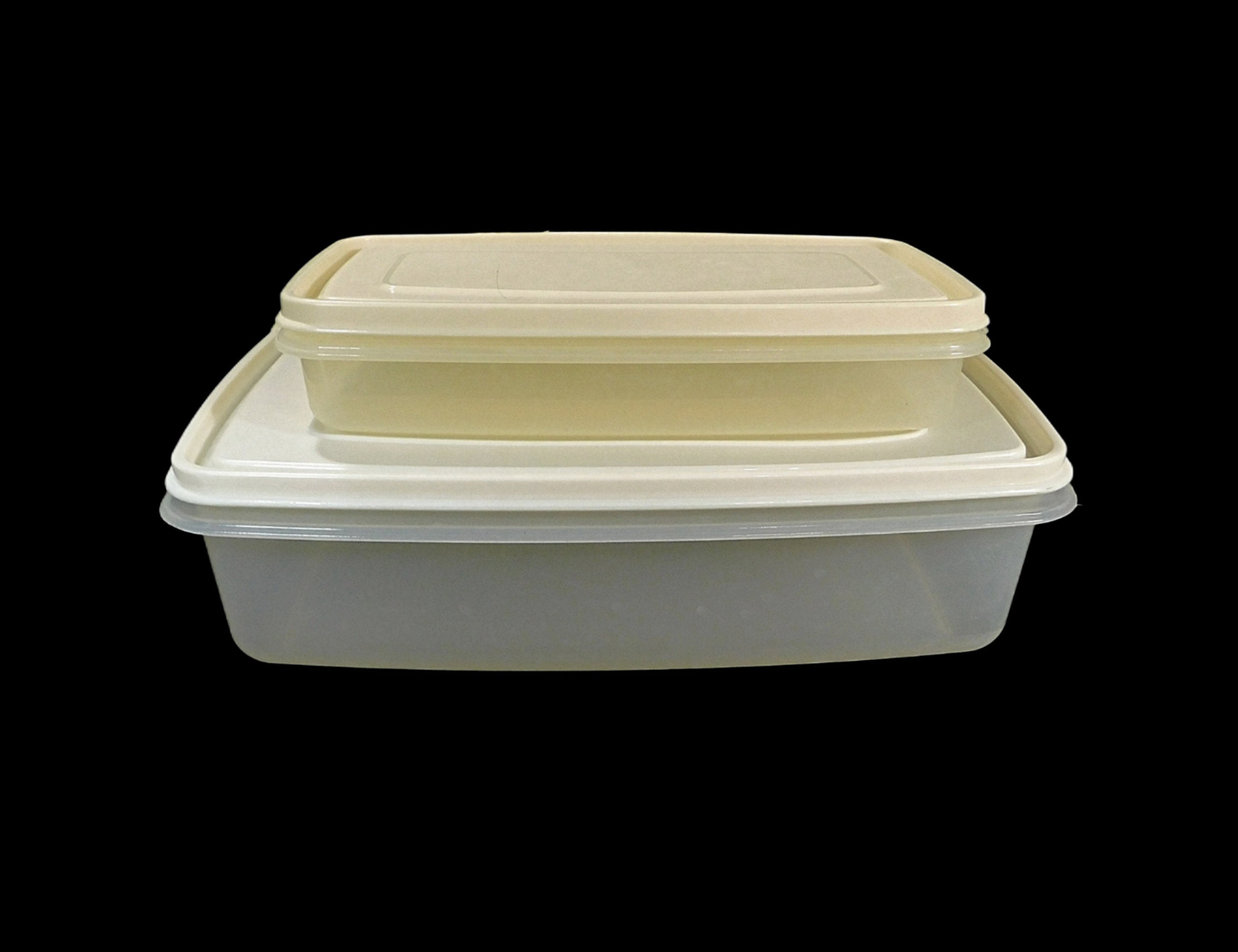  Youngever 2 Pack 2.5 Gallon Large Food Storage