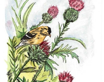 May include: A watercolor painting of a yellow bird perched on a thistle plant with pink flowers. The bird has a black head and a white stripe on its wing. The background is a light blue watercolor wash.