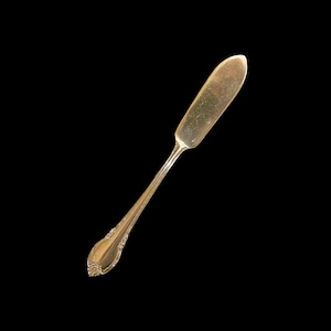 Master Butter Spreader, 1847 Rogers Remembrance, IS, by INTERNATIONAL SILVER, Silverplate Cutlery, Butter Knife