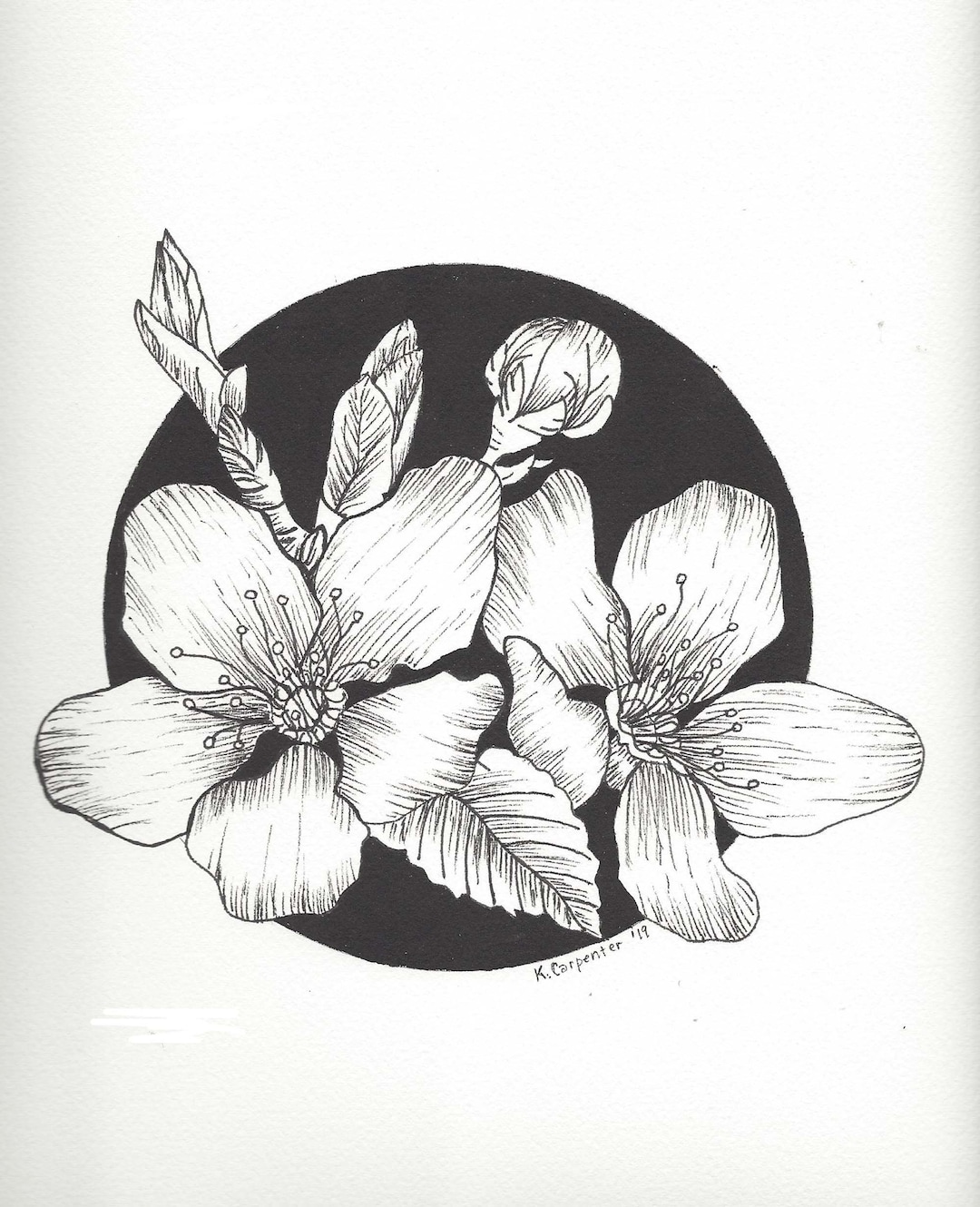 Buy Original Pen & Ink Drawing of Flowers on Archival Watercolor Online in  India - Etsy