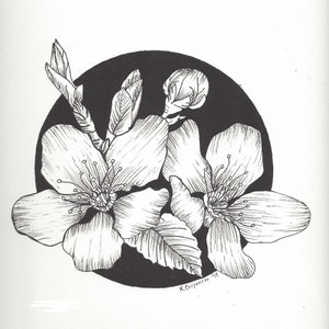 Original Pen & Ink Drawing of Flowers on Archival Watercolor Paper - Botanical Flower