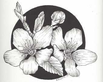 Original Pen & Ink Drawing of Flowers on Archival Watercolor Paper - Botanical Flower