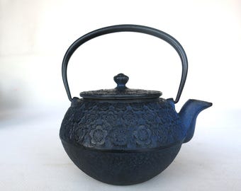 Teavana Japanese Tetsubin Cast Iron Enameled Teapot:   Stainless Steel Strainer and Swing Handle