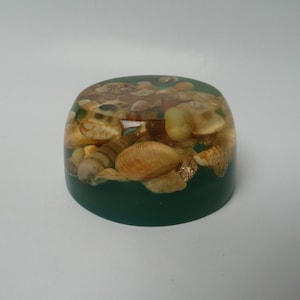 May include: A round, clear, green-based paperweight filled with seashells.