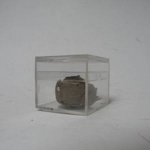 May include: A small, irregularly shaped, brown object is encased within a clear, square acrylic box. The object appears to be a natural stone or mineral specimen. The box is transparent, allowing full visibility of the contents.