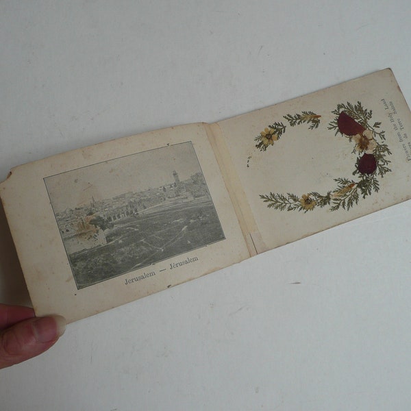 Antique Album Flowers from the Holy Land Fleurs De Terre Sainte Jerusalem circa 1900