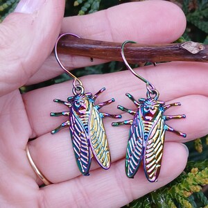 Rainbow Cicada Earrings, Rainbow Cicada Hoops, Cicada Hoop Earrings, LGBTQ Cicada Dangles, Rainbow Cicada Jewelry, Cicada Lover Gift image 2