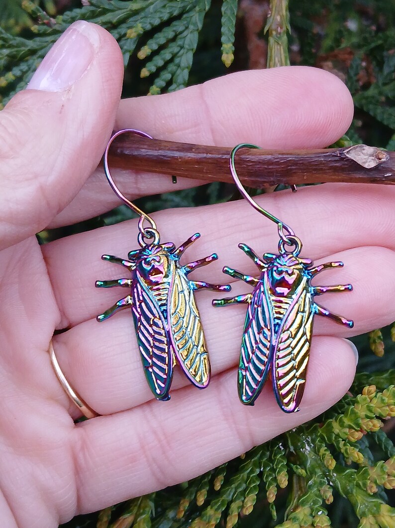 Rainbow Cicada Earrings, Rainbow Cicada Hoops, Cicada Hoop Earrings, LGBTQ Cicada Dangles, Rainbow Cicada Jewelry, Cicada Lover Gift image 2