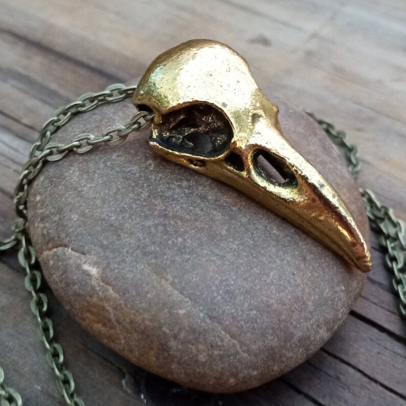 Bird Skull Necklace, Bronze Bird Skull Pendant, Goth Bird Necklace, Pagan Bird Jewelry image 1