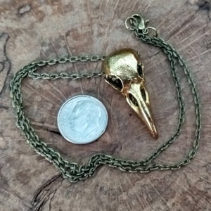 Bird Skull Necklace, Bronze Bird Skull Pendant, Goth Bird Necklace, Pagan Bird Jewelry image 7