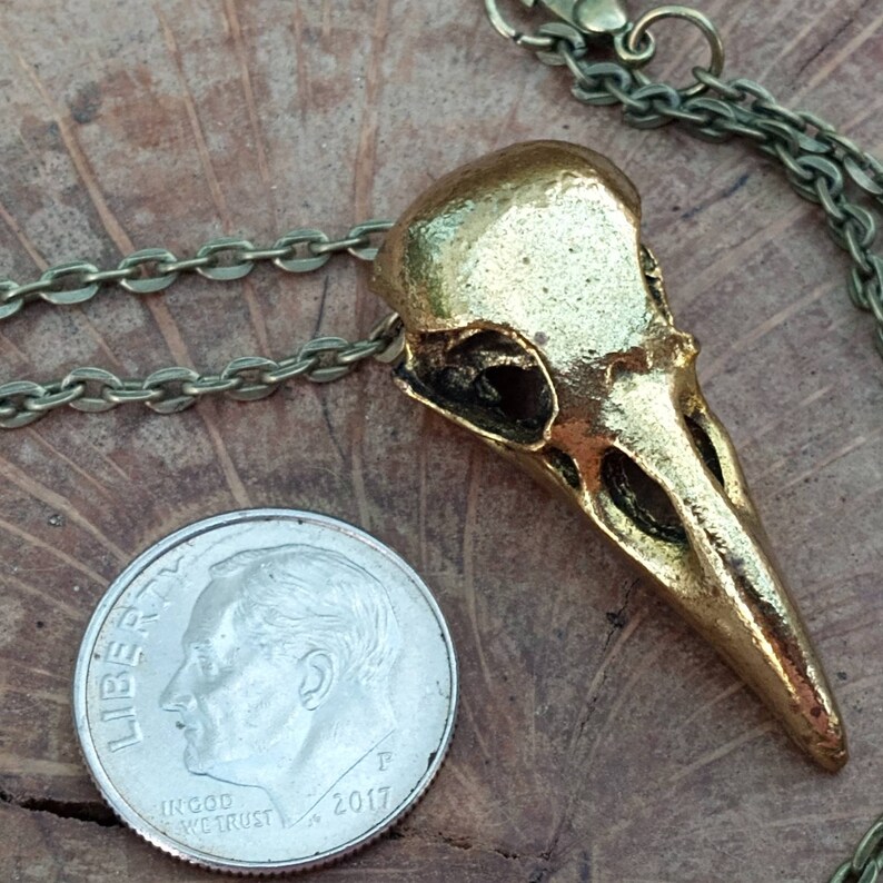 Bird Skull Necklace, Bronze Bird Skull Pendant, Goth Bird Necklace, Pagan Bird Jewelry image 8