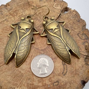 Large Cicada Earrings, Bronze Cicadas Earrings, Cicada Dangles, Cicadas Earrings, Bronze Cicada Dangles image 8