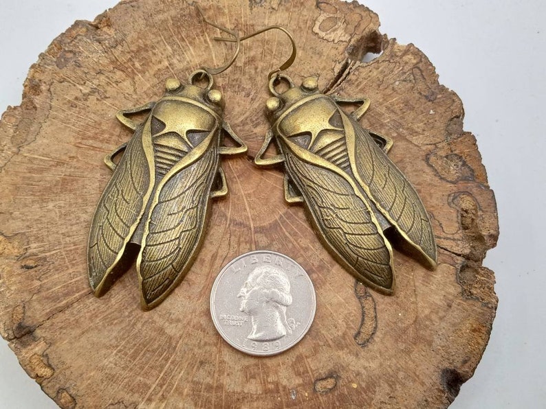 Large Cicada Earrings, Bronze Cicadas Earrings, Cicada Dangles, Cicadas Earrings, Bronze Cicada Dangles image 8