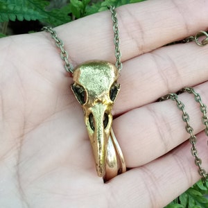 Bird Skull Necklace, Bronze Bird Skull Pendant, Goth Bird Necklace, Pagan Bird Jewelry image 2