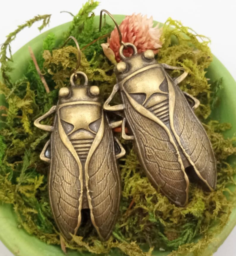 Large Cicada Earrings, Bronze Cicadas Earrings, Cicada Dangles, Cicadas Earrings, Bronze Cicada Dangles image 3