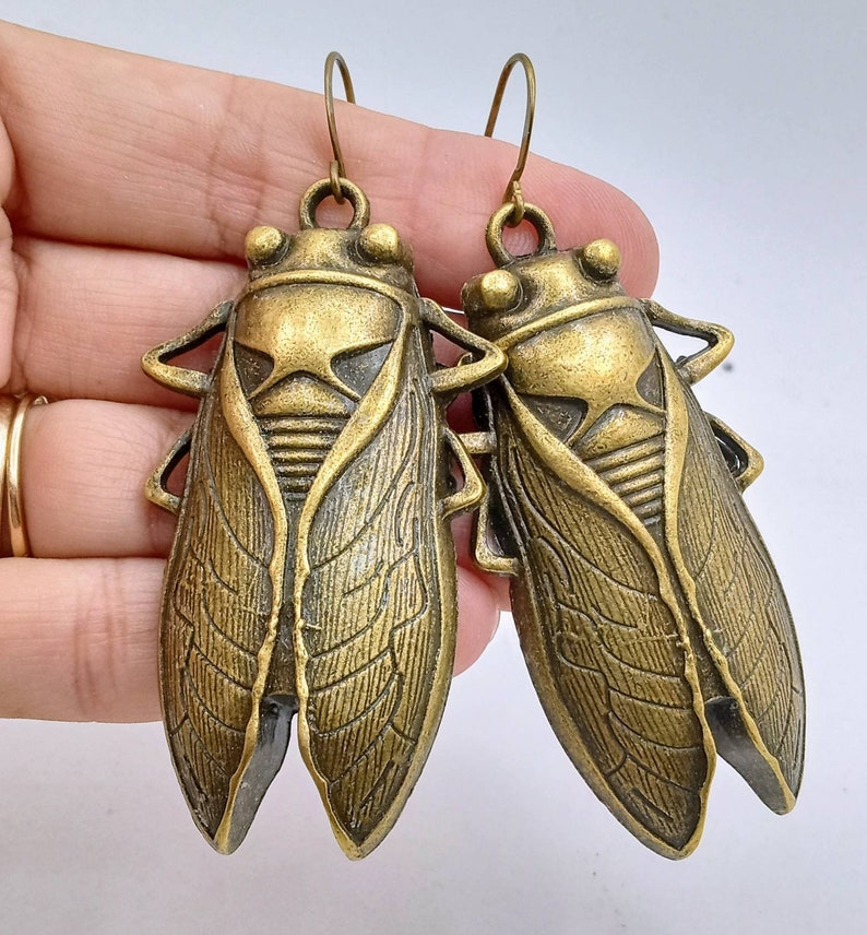 Large Cicada Earrings, Bronze Cicadas Earrings, Cicada Dangles, Cicadas Earrings, Bronze Cicada Dangles image 1
