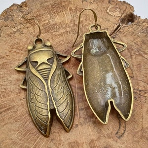 Large Cicada Earrings, Bronze Cicadas Earrings, Cicada Dangles, Cicadas Earrings, Bronze Cicada Dangles image 6