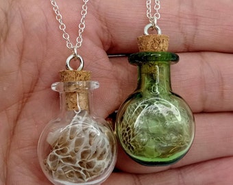 Snake Shed Amulet Necklace: Silver Plated Snake Totem Pendant