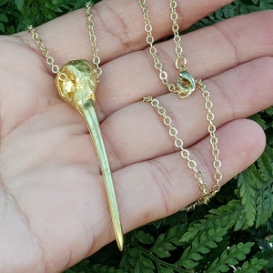 Gold Hummingbird Skull Necklace, Gold Bird Skull Pendant, Hummingbird Skull Pendant, Gold  Hummingbird Necklace