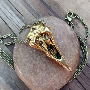 Bird Skull Necklace, Bronze Bird Skull Pendant, Goth Bird Necklace, Pagan Bird Jewelry image 6