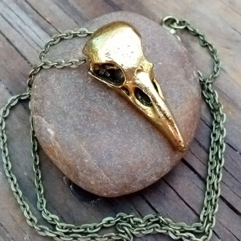 Bird Skull Necklace, Bronze Bird Skull Pendant, Goth Bird Necklace, Pagan Bird Jewelry image 4