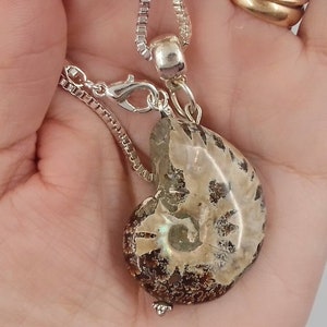 Ammonite Fossil Necklace: Polished Pendant, Silver Plated Chain
