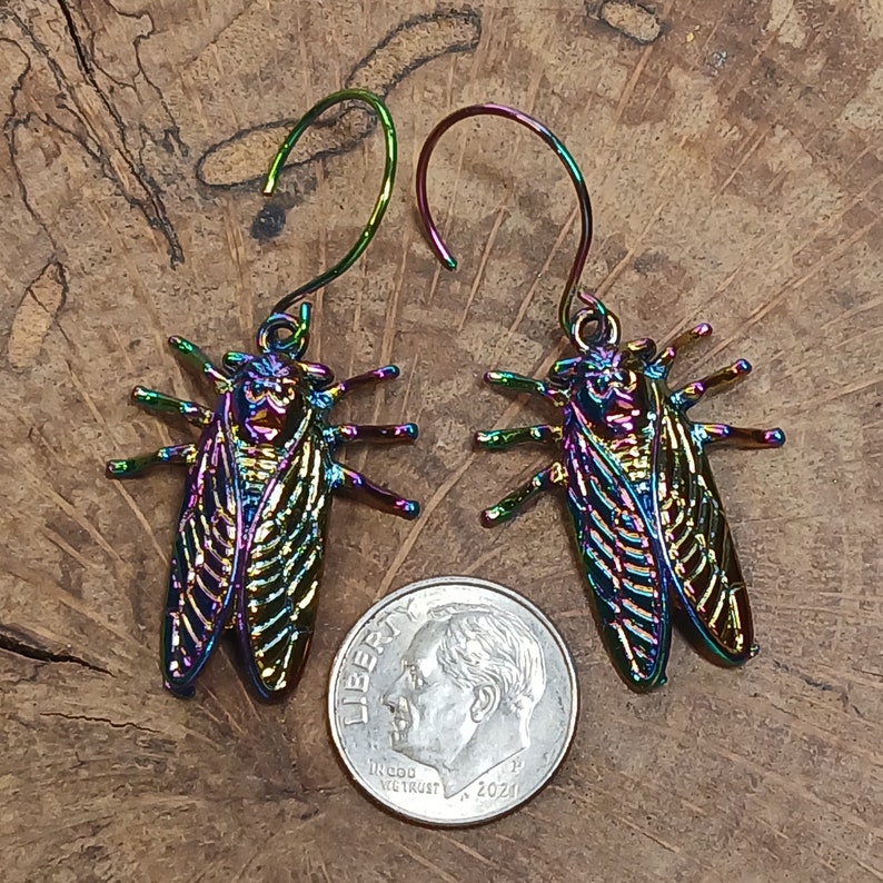 Rainbow Cicada Earrings, Rainbow Cicada Hoops, Cicada Hoop Earrings, LGBTQ Cicada Dangles, Rainbow Cicada Jewelry, Cicada Lover Gift image 5