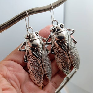 Large Silver Cicada Dangle Earrings: Entomology Jewelry Gift