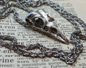 Raven Skull Necklace: Silver Bird Skull Pendant, Rope Chain