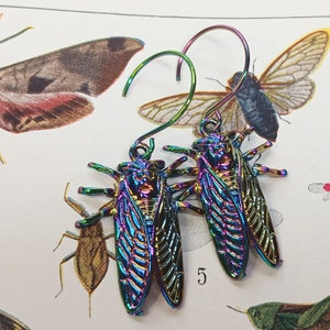 Rainbow Cicada Earrings, Rainbow Cicada Hoops, Cicada Hoop Earrings, LGBTQ Cicada Dangles, Rainbow Cicada Jewelry, Cicada Lover Gift image 3