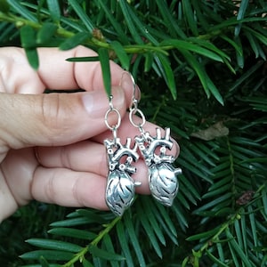 Chunky Silver Anatomical Hearts Dangling from silver plate French Hook, or Lever Back Ear Wires.