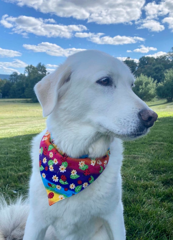 Paw Print Design Dog Cat Accessory Slip On Dog Bandana Reversible Personalized Over The Collar Dog Cat Bandana