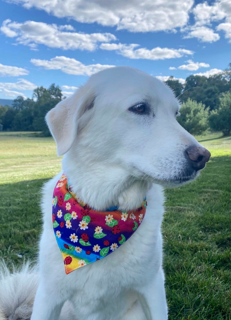 Paw Print Design Dog Cat Accessory Slip On Dog Bandana Reversible Personalized Over The Collar Dog Cat Bandana