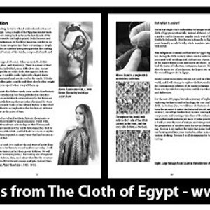 The Cloth of Egypt: All About Assiut Belly Dance Costuming Book by Dawn Devine & Alisha Westerfeld image 7