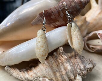 Mini Scaphella Shell Earrings