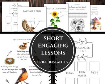 SUMMER Nature Study Unit | Charlotte Mason Homeschool Nature Journal For Multiple Aged Children | Waldorf Homeschool | PDF Instant Download
