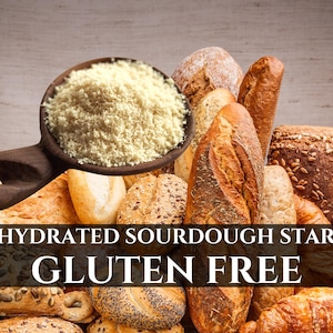 May include: Dehydrated sourdough starter, gluten free. A wooden spoon holds a scoop of the starter powder, surrounded by a variety of breads and rolls.