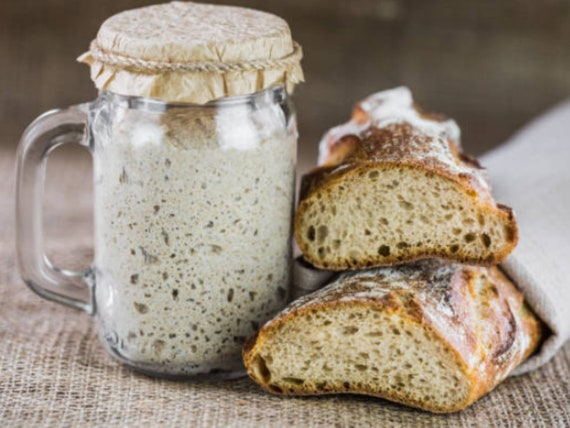 Dehydrated Heirloom Texas sourdough starter, Super Active Heirloom sourdough starter, Sourdough starter with instructions and recipe