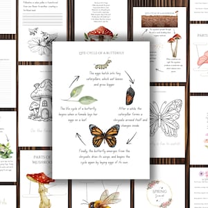 Op de afbeelding: Een set printbare educatieve werkbladen voor kinderen over de lente. De werkbladen bevatten illustraties van een vlinder, een paddenstoel, een bloem en een bij. De tekst op de werkbladen bevat de woorden "Levenscyclus van een vlinder", "Delen van een bloem" en "Delen van een paddenstoel".