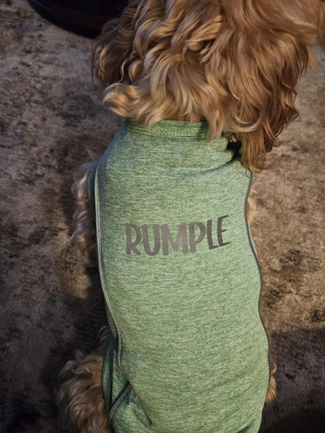Zesty Lemon Cutie  - Dog Summer Shirts- Printed main image 1