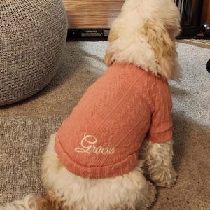 May include: A small, white dog wearing a pink knitted sweater with the name "Gracie" embroidered on the front.