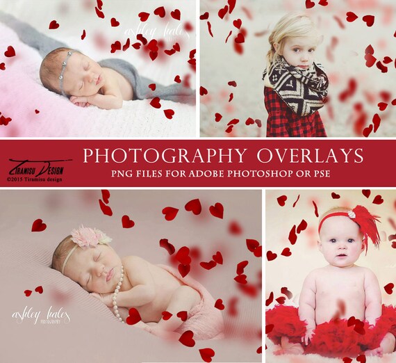 Photo Album PSD Templates, Family Photobook Template for Photoshop, Baby  Photo Album Template, 12x12in, 10x10in, ED1 