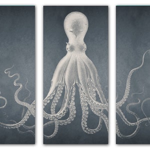 Lord Bodner Octopus Triptych, Beach Art, Coastal Decor, Canvas Wall Art, Large Art, Nautical Prints, Coastal Art
