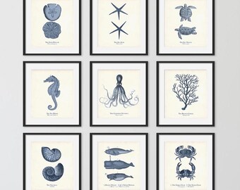 Sea Life Illustrations, Vintage Nautical Home Decor, Coastal Wall Art, Shore House Art Print Set of 9, Nursery Posters