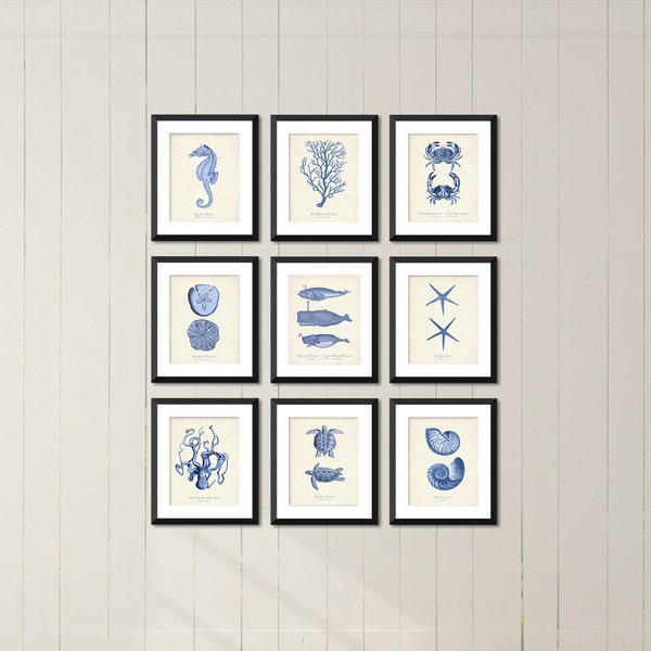 Sea Life Wall Art Etsy