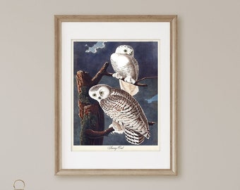 Snowy Owl Print,  Audubon Birds of America, Vintage Bird Print, Audubon Bird Poster, Winter Home Decor, Holiday Gift for Owl Lover