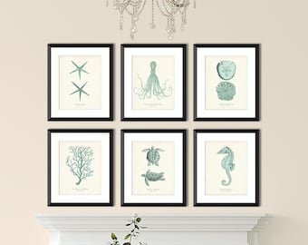 Seaglass Green Sea Life Illustration Set of 6, Seafoam Coastal Home Decor, Nautical Prints, Shore House Art, Sea Creatures Nursery Wall Art