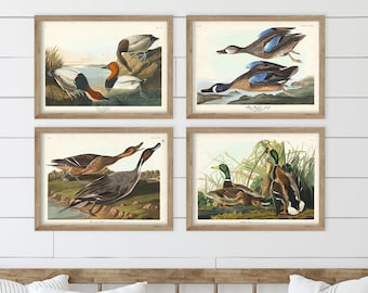 Ducks Print Set, Vintage Waterfowl Art, Audubon's Birds of America, Lake House Decor, Mallard, Blue-Winged Teal, Pintail, Canvasback Duck